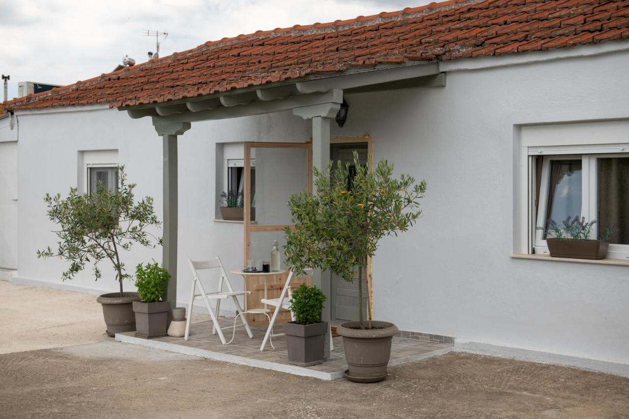 Appartement Agrikia Tis Vasilikis à Ormília Extérieur photo